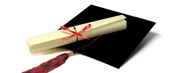  Degree Bsc